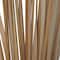 3.5ft. Natural Light Brown Dried Plant Foliage with Slender Stems